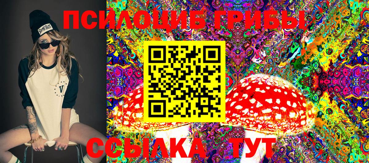 Гусев  Псилоцибиновые грибы MAGIC MUSHROOMS  Вход с VPN 